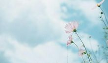 在生活中的心烦句子