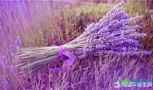 思念孩子的句子