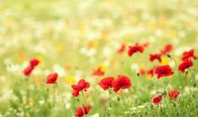 想你到无法呼吸的句子