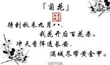 菊花诗句大全