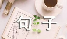 描写人物句子