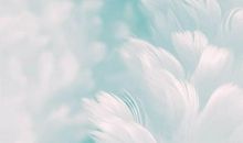 希望老天让我开心的句子