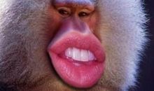 搞笑说说大全2018最新版的