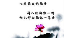 心情短语2017人生感悟