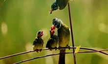 关于亲情的名言警句