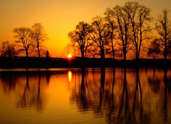    每天大约有一点正能量的句子1    1