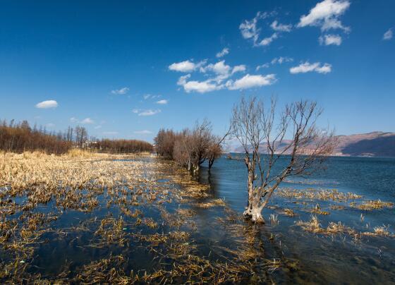 只要仍然有一点希望