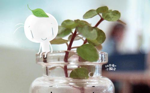 亲情句子英语翻译 1