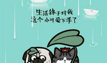 2019超级搞笑说说