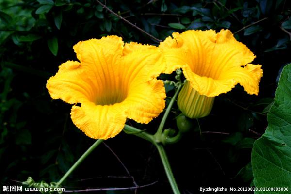 不快乐不是因为幸福的条件不完整