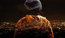 对一份感情特失望的句子