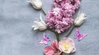 我是您旁边的爱心鸟