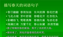 描写人的词语和句子