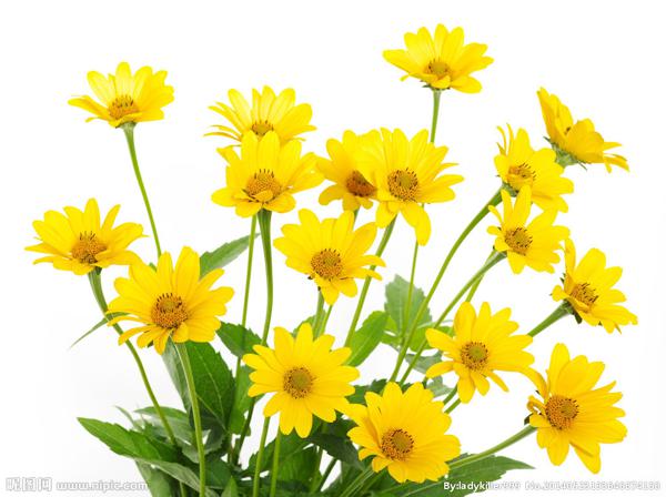 而是因为生活不容易