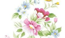 天气晴的问候短信