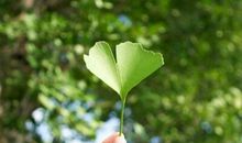 超经典的句子：那些想说却不敢说的话，都变成了转发