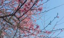 让对方开心的句子