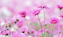 鼓励别人心静的句子