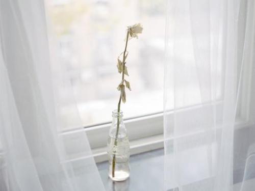 我为余生编写了一些快乐的句子