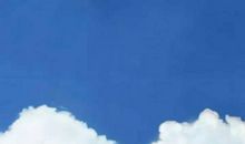 表达朋友开心的句子