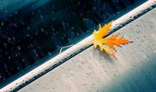 幸福开心快乐的句子