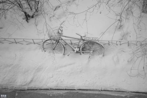 您将一个人视为最好的朋友