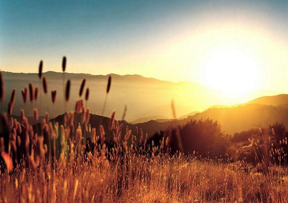     Light的抒情句子  1