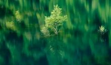 佛经使人心静的句子