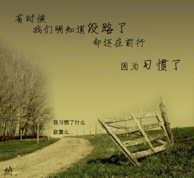    习惯的悲伤情绪  1