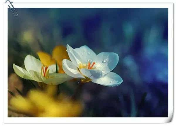 当您可以控制自己的情绪时