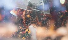 对友谊感到失望的句子