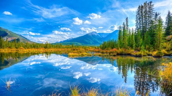 星星为您唱催眠曲