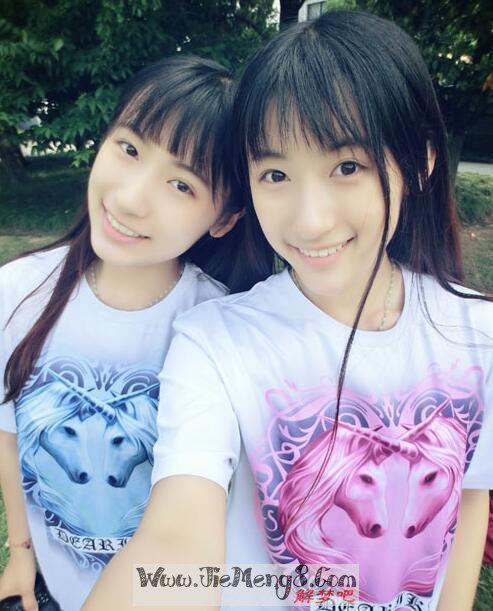 我梦见自己有双胞胎