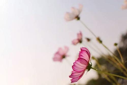 您总是必须承担一些责任或找到某些养分