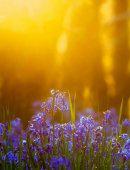 让我们来看看编辑所编辑的有关每天祝您幸福的句子