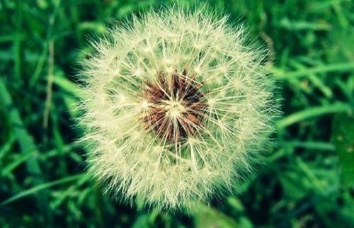 我想给你整个宇宙