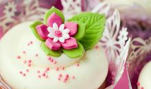 希望别人开心的句子