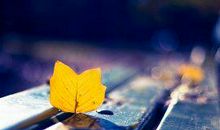 写出有亲情的句子