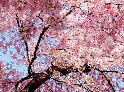 我想去你的城市