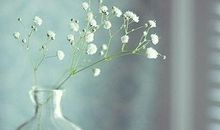 百善孝为先正能量句子 孝心无价的经典句子