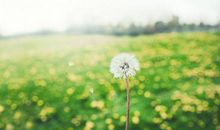 提醒每天要开心的句子