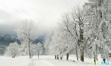 让对方看到伤心到哭的句子 朋友圈让对方看到心疼的短句