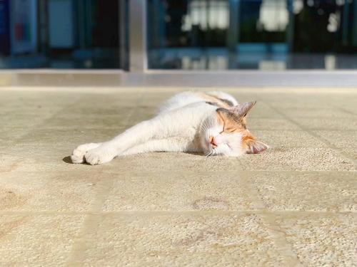 每天都有很多句子祝您幸福