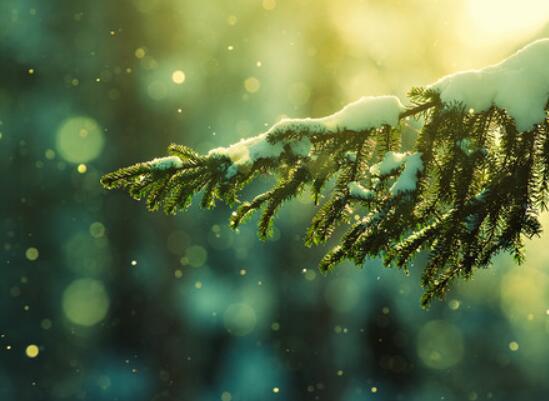 流星穿越了我梦dream以求的灵魂