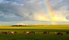 雨过天晴阳光明媚开心的句子