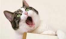 适合放寒假发的朋友圈说说