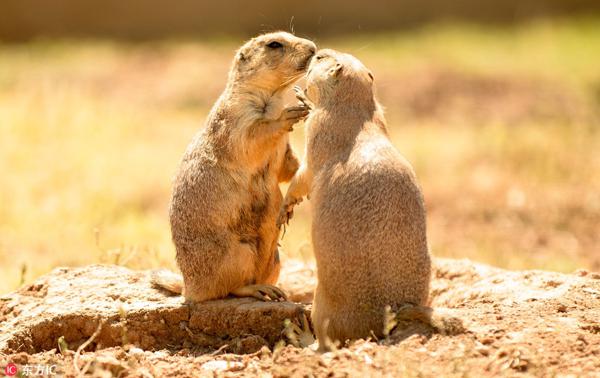 会有这样一个人走进你的生活