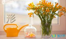 形容孤独凄凉的句子