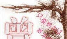 努力过了不后悔的句子