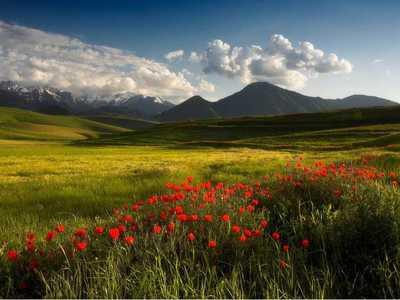 我会给你所有的财富